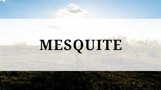 Mesquite region