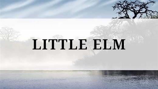 Little Elm region