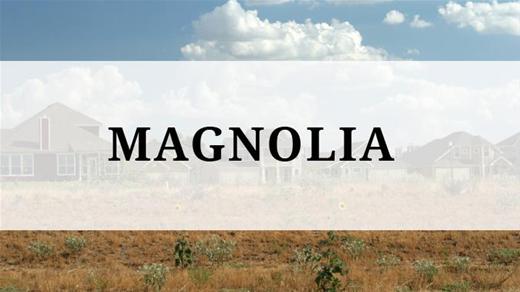 Magnolia region - Magnolia, TX