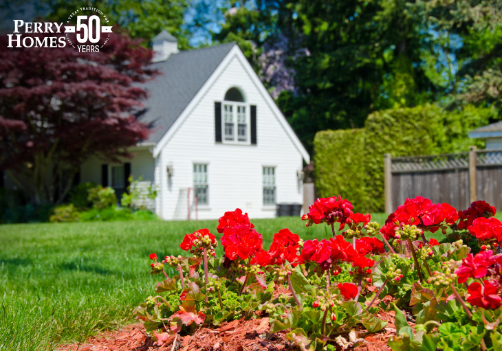 red geranium flowers planted in landscaping with red wood mulch in yard of green grass with white house in background