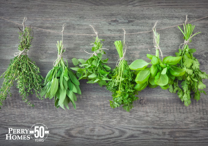 clusters of fresh herbs, mint, parsley, sage, basil and cilantro, tied with twine hang from line with grey wood background