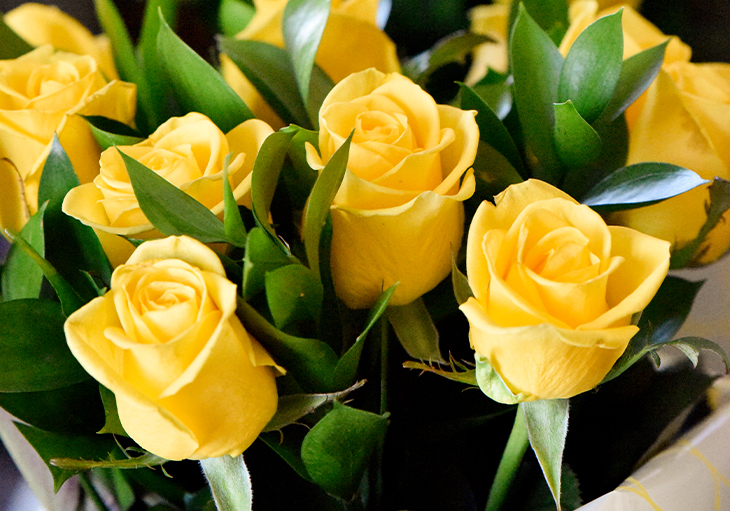 A bouquet of yellow roses, which symbolize friendship and
happiness, in a vase