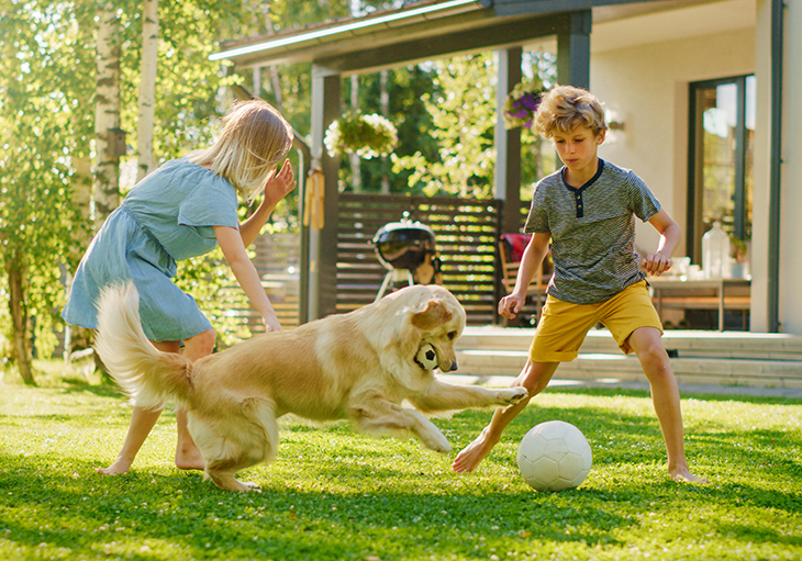 Two young children run and play fetch with their golden retriever on the sunny lawn of their dog-friendly Perry Homes backyard in Texas.